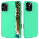 For iPhone 16 Pro Max Solid Color Silicone Phone Case(Green) - 1