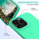 For iPhone 16 Pro Max Solid Color Silicone Phone Case(Green) - 2