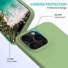 For iPhone 16 Pro Solid Color Silicone Phone Case(Mint Green) - 2