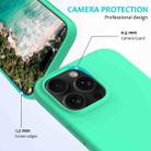 For iPhone 16 Pro Solid Color Silicone Phone Case(Green) - 2