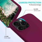 For iPhone 16 Pro Solid Color Silicone Phone Case(Violet) - 2