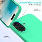 For iPhone 16 Plus Solid Color Silicone Phone Case(Green) - 2