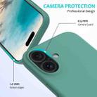 For iPhone 16 Plus Solid Color Silicone Phone Case(Pine Needle Green) - 2