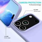 For iPhone 17 Pro Max Solid Color Silicone Phone Case(Purple) - 2