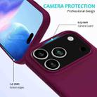 For iPhone 17 Pro Max Solid Color Silicone Phone Case(Violet) - 2