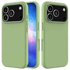 For iPhone 17 Pro Solid Color Silicone Phone Case(Mint Green) - 1