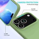 For iPhone 17 Pro Solid Color Silicone Phone Case(Mint Green) - 2