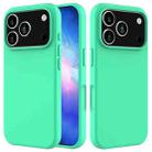 For iPhone 17 Pro Solid Color Silicone Phone Case(Green) - 1