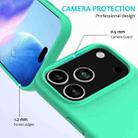 For iPhone 17 Pro Solid Color Silicone Phone Case(Green) - 2