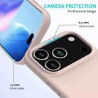 For iPhone 17 Pro Solid Color Silicone Phone Case(Sand Pink) - 2
