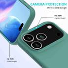 For iPhone 17 Pro Solid Color Silicone Phone Case(Pine Needle Green) - 2