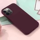 For iPhone 15 Pro Shockproof Silicone Magsafe Phone Case(Plum Color) - 6