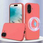 For iPhone 16 Plus Shockproof Silicone Magsafe Phone Case(Pink Orange) - 1