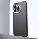 For iPhone 11 Pro Frosted Metal Material Phone Case with Lens Protection(Black) - 1