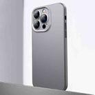 For iPhone 12 Pro Frosted Metal Material Phone Case with Lens Protection(Grey) - 1