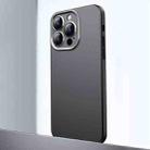 For iPhone 12 Pro Max Frosted Metal Material Phone Case with Lens Protection(Black) - 1