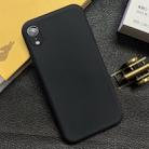For iPhone XR Shockproof Frosted TPU Protective Case(Black) - 1