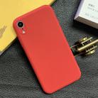 For iPhone XR Shockproof Frosted TPU Protective Case(Red) - 1