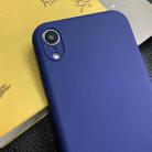 For iPhone XR Shockproof Frosted TPU Transparent Protective Case(Blue) - 2
