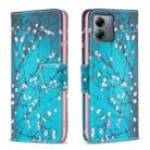 For Motorola Moto G14 4G Colored Drawing Pattern Leather Phone Case(Plum Blossom) - 1