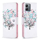 For Motorola Moto G14 4G Colored Drawing Pattern Leather Phone Case(Tree) - 1