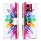 For Motorola Moto G84 5G Colored Drawing Pattern Leather Phone Case(Sun Flower) - 1