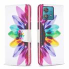 For Motorola Edge 40 Neo Colored Drawing Pattern Leather Phone Case(Sun Flower) - 1