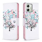 For Motorola Moto G54 5G EU Edition Colored Drawing Pattern Leather Phone Case(Tree) - 1