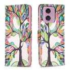 For Motorola Moto G24 Colored Drawing Pattern Leather Phone Case(Tree Life) - 1