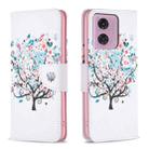 For Motorola Moto G24 Colored Drawing Pattern Leather Phone Case(Tree) - 1