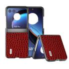 For Motorola Razr 40 Ultra ABEEL Genuine Leather Crocodile Pattern Black Edge Phone Case(Red) - 1