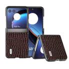 For Motorola Razr 40 Ultra ABEEL Genuine Leather Crocodile Pattern Black Edge Phone Case(Coffee) - 1