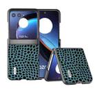 For Motorola Razr 40 Ultra ABEEL Genuine Leather Crocodile Pattern Black Edge Phone Case(Blue) - 1