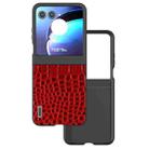 For Motorola Razr 50 ABEEL Genuine Leather Crocodile Pattern Black Edge Phone Case(Red) - 1