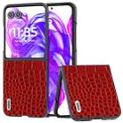 For Motorola Razr 50 Ultra ABEEL Genuine Leather Crocodile Pattern Black Edge Phone Case(Red) - 1