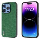 For iPhone 16 Pro ABEEL Genuine Leather Litchi Texture Phone Case(Green) - 1