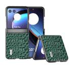 For Motorola Razr 40 Ultra ABEEL Genuine Leather Canopy Black Edge Phone Case(Green) - 1