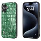 For iPhone 16 Plus ABEEL Crocodile Texture Genuine Leather Phone Case(Green) - 1