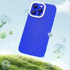 For iPhone 13 Pro Hollow Heat Dissipation TPU Phone Case(Blue) - 2