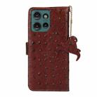 For Motorola Edge 50 Neo Ostrich Pattern Genuine Leather RFID Phone Case(Coffee) - 3