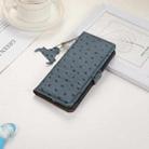 For Motorola Moto G75 5G Ostrich Pattern Genuine Leather RFID Phone Case(Blue) - 2