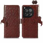 For OnePlus 12 Ostrich Pattern Genuine Leather RFID Phone Case(Coffee) - 1