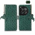 For OnePlus 12 Ostrich Pattern Genuine Leather RFID Phone Case(Green) - 1