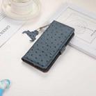 For OnePlus Nord CE4 5G / K12 5G Ostrich Pattern Genuine Leather RFID Phone Case(Blue) - 2