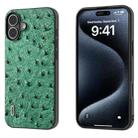 For iPhone 16 ABEEL Genuine Leather Ostrich Texture Phone Case(Green) - 1