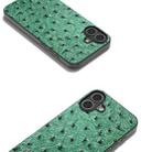 For iPhone 16 ABEEL Genuine Leather Ostrich Texture Phone Case(Green) - 2