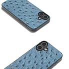 For iPhone 16 ABEEL Genuine Leather Ostrich Texture Phone Case(Blue) - 2