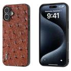 For iPhone 16 ABEEL Genuine Leather Ostrich Texture Phone Case(Coffee) - 1