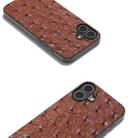 For iPhone 16 ABEEL Genuine Leather Ostrich Texture Phone Case(Coffee) - 2