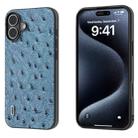 For iPhone 16 Plus ABEEL Genuine Leather Ostrich Texture Phone Case(Blue) - 1